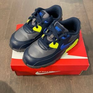 Air Max 90 Metallic Grey and Hyper Royal